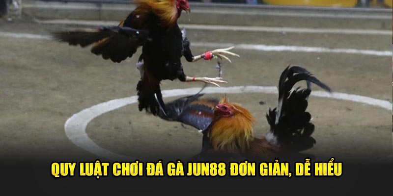 Đá gà Jun88: Khám Phá Thế Giới Đầy Hấp Dẫn Của Cá Cược 2 Quy luật, cách thức chơi đơn giản, dễ hiểu